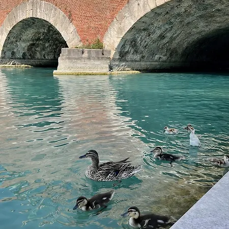 Appartamento Casa Olympia - By Tourquoisevea
